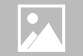 爱游戏体育-费德勒回归赛场，败北首场状态亮眼，尤文图斯观众沸腾！
